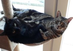 Jerry und Rusty